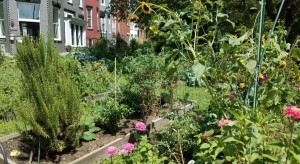 Community Gardens