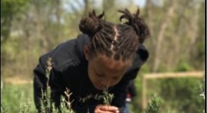 Meaningful Watershed Educational Experiences