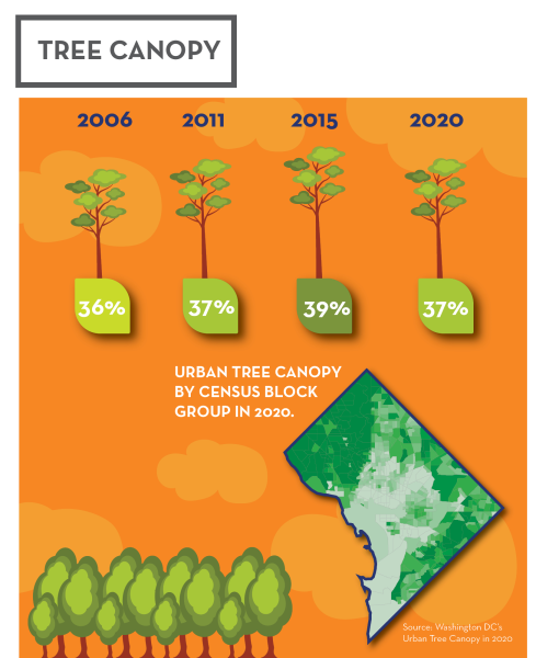 Trees of different heights representing tree canopy cover and a map of DC showing tree canopy cover by census block group