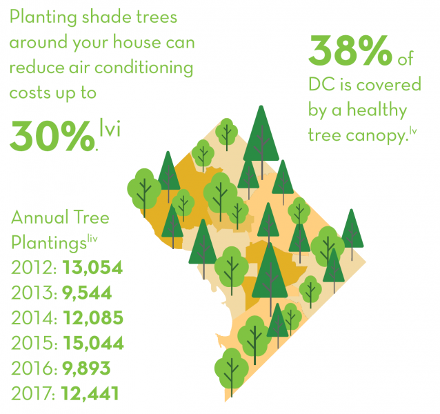 Planting shade trees around your house can reduce air conditioning costs up to 30%. 38% of DC is covered by a healthy tree canopy. Annual Tree Plantings. 2012: 13,054, 2013: 9,544, 2014: 12,085, 2015: 15,044, 2016: 9,893, 2017: 12,441.